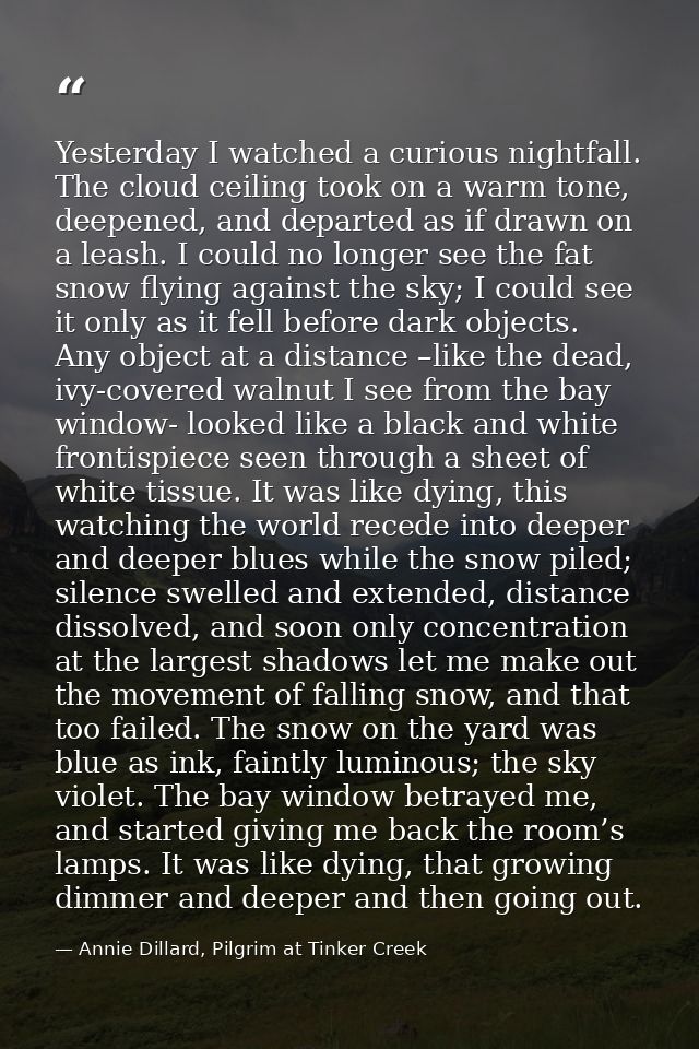 Yesterday I watched a curious nightfall. The cloud ceiling took on a warm tone, deepened, and departed as if drawn on a  — Annie Dillard, Pilgrim at Tinker Creek