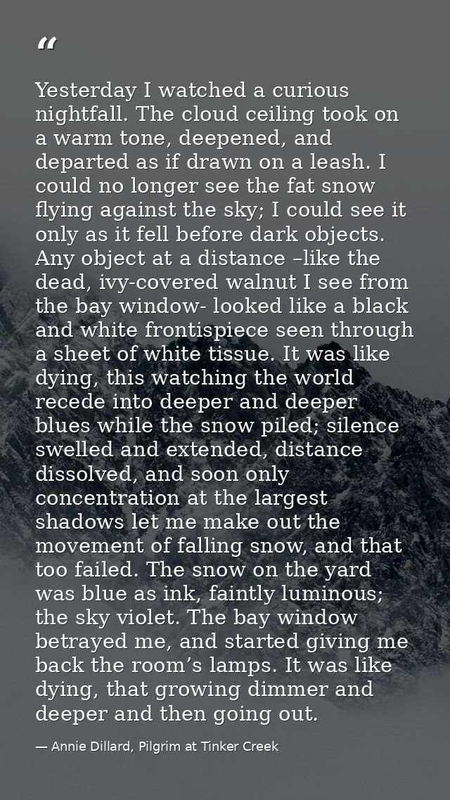 Yesterday I watched a curious nightfall. The cloud ceiling took on a warm tone, deepened, and departed as if drawn on a  — Annie Dillard, Pilgrim at Tinker Creek