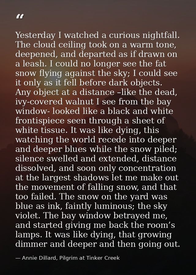 Yesterday I watched a curious nightfall. The cloud ceiling took on a warm tone, deepened, and departed as if drawn on a  — Annie Dillard, Pilgrim at Tinker Creek