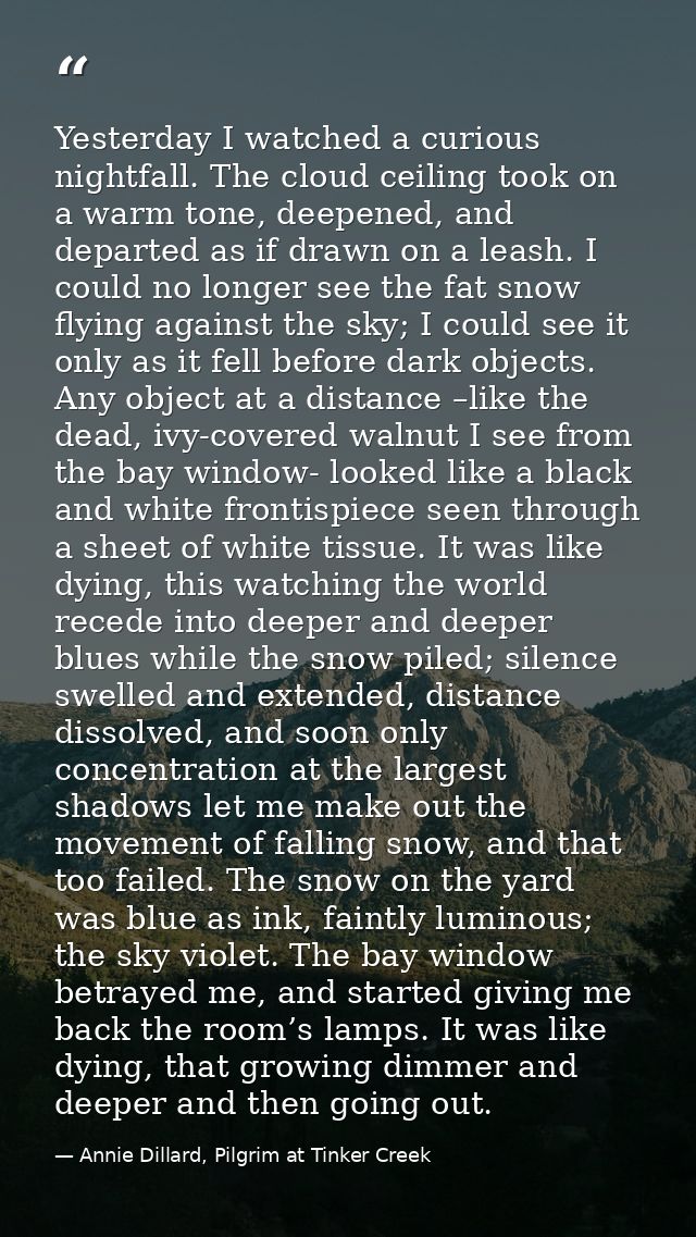 Yesterday I watched a curious nightfall. The cloud ceiling took on a warm tone, deepened, and departed as if drawn on a  — Annie Dillard, Pilgrim at Tinker Creek