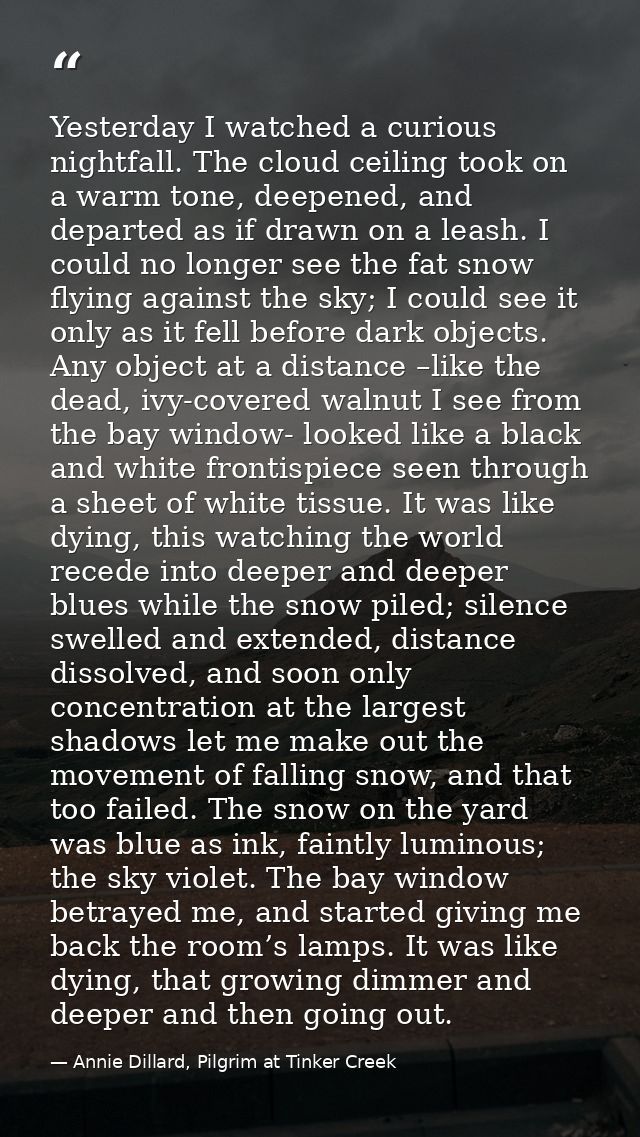 Yesterday I watched a curious nightfall. The cloud ceiling took on a warm tone, deepened, and departed as if drawn on a  — Annie Dillard, Pilgrim at Tinker Creek