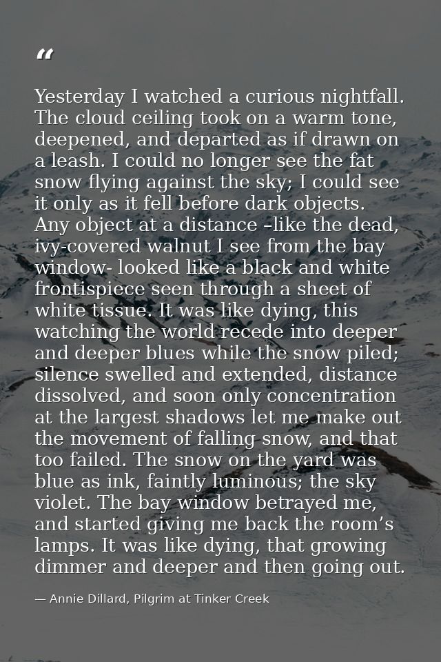 Yesterday I watched a curious nightfall. The cloud ceiling took on a warm tone, deepened, and departed as if drawn on a  — Annie Dillard, Pilgrim at Tinker Creek