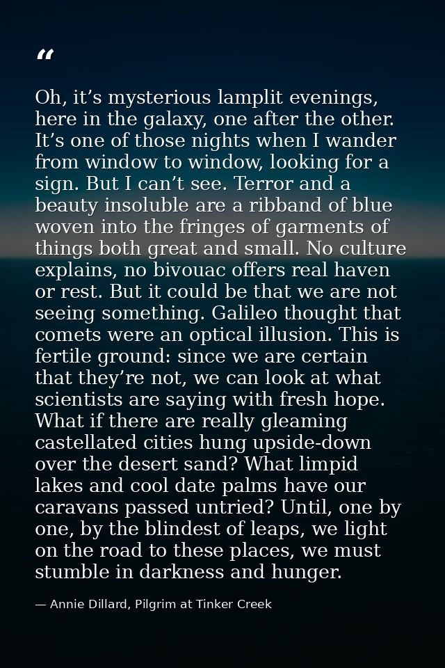 Oh, it’s mysterious lamplit evenings, here in the galaxy, one after the other. It’s one of those nights when I wander fr — Annie Dillard, Pilgrim at Tinker Creek