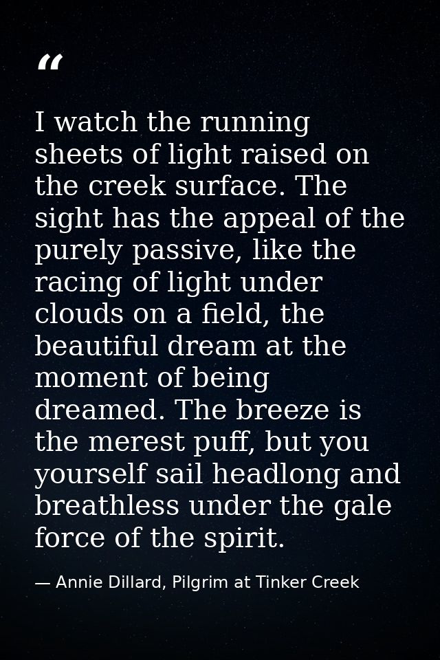 I watch the running sheets of light raised on the creek surface. The sight has the appeal of the purely passive, like th — Annie Dillard, Pilgrim at Tinker Creek