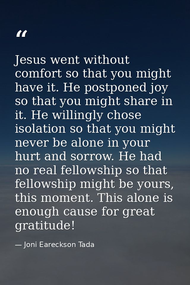 Jesus went without comfort so that you might have it. He postponed joy so that you might share in it. He willingly chose — Joni Eareckson Tada