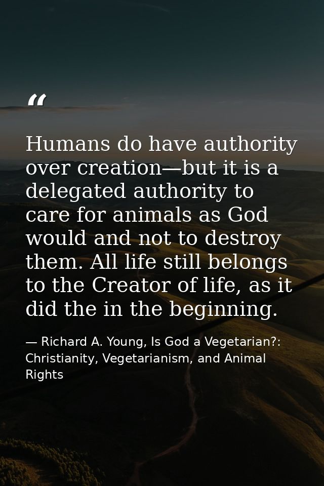 Humans do have authority over creation—but it is a delegated authority to care for animals as God would and not to destr — Richard A. Young, Is God a Vegetarian?: Christianity, Vegetarianism, and Animal Rights