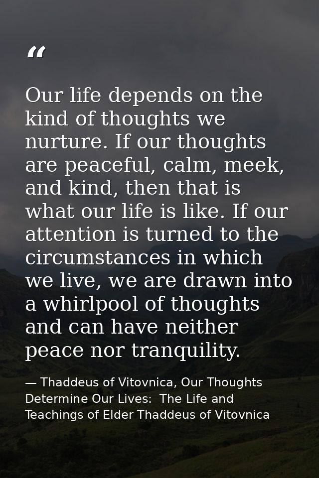 Our life depends on the kind of thoughts we nurture. If our thoughts are peaceful, calm, meek, and kind, then that is wh — Thaddeus of Vitovnica, Our Thoughts Determine Our Lives:  The Life and Teachings of Elder Thaddeus of Vitovnica
