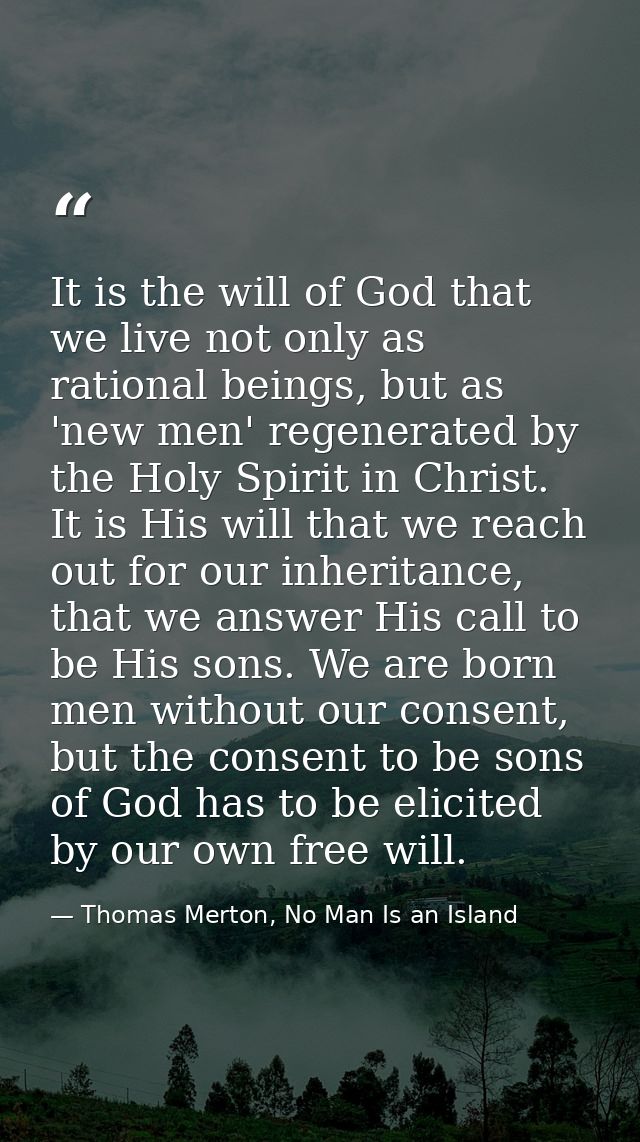 It is the will of God that we live not only as rational beings, but as 'new men' regenerated by the Holy Spirit in Chris — Thomas Merton, No Man Is an Island