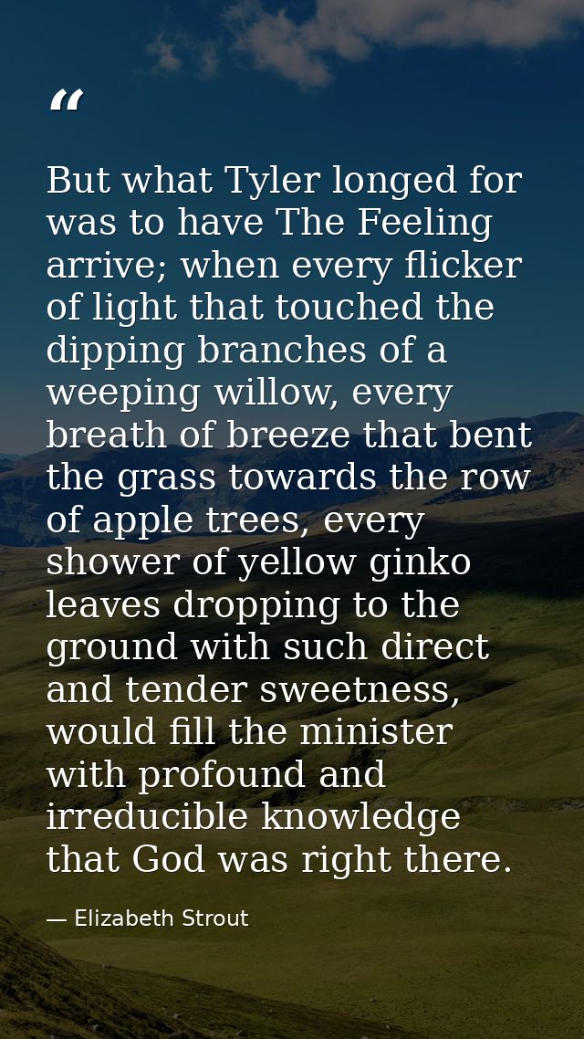 But what Tyler longed for was to have The Feeling arrive; when every flicker of light that touched the dipping branches  — Elizabeth Strout