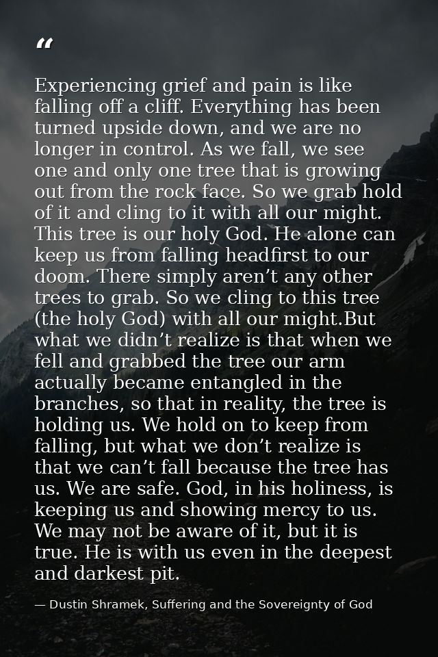 Experiencing grief and pain is like falling off a cliff. Everything has been turned upside down, and we are no longer in — Dustin Shramek, Suffering and the Sovereignty of God