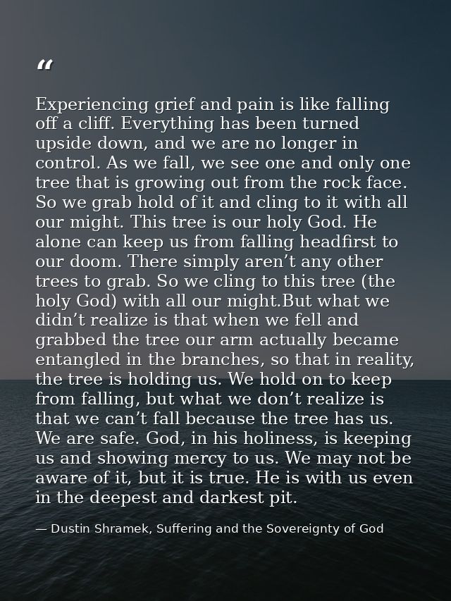 Experiencing grief and pain is like falling off a cliff. Everything has been turned upside down, and we are no longer in — Dustin Shramek, Suffering and the Sovereignty of God