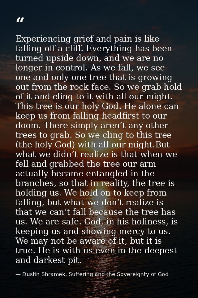 Experiencing grief and pain is like falling off a cliff. Everything has been turned upside down, and we are no longer in — Dustin Shramek, Suffering and the Sovereignty of God