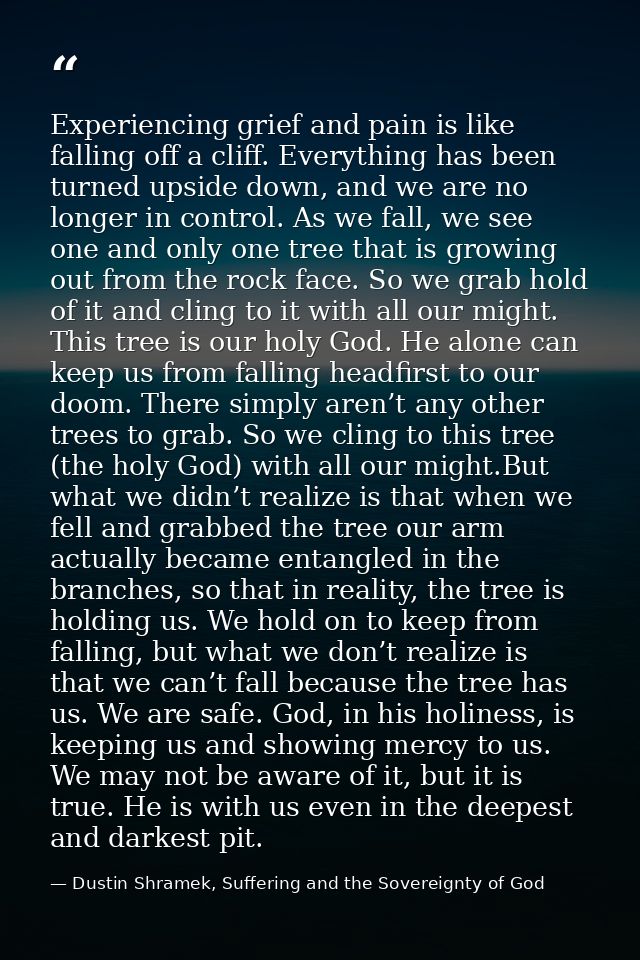 Experiencing grief and pain is like falling off a cliff. Everything has been turned upside down, and we are no longer in — Dustin Shramek, Suffering and the Sovereignty of God