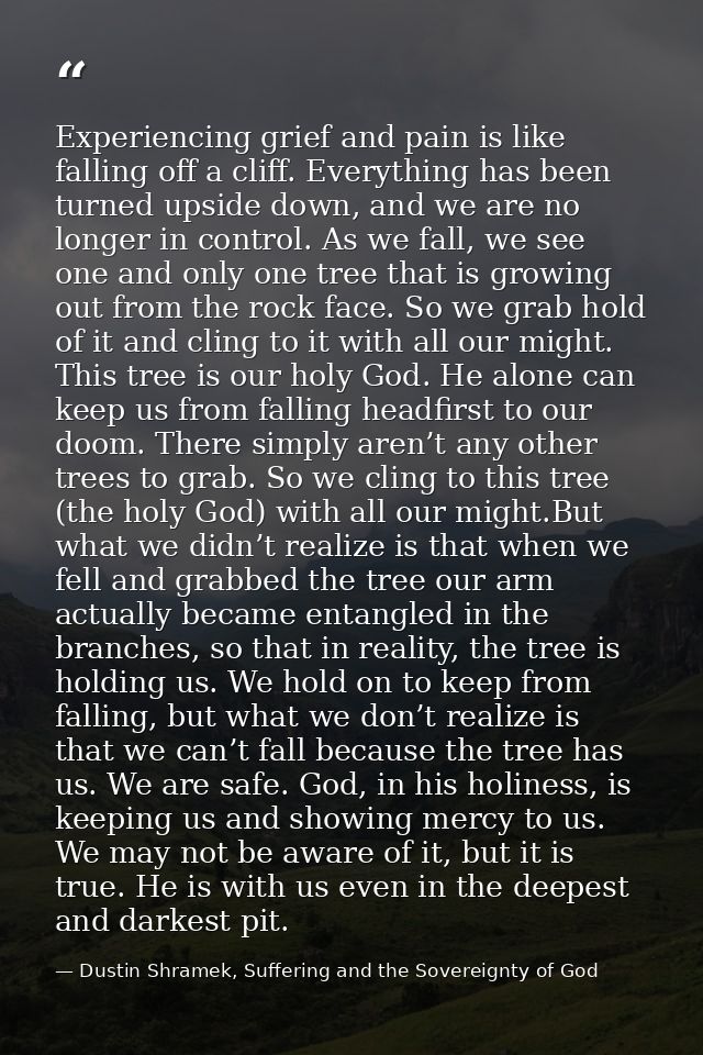 Experiencing grief and pain is like falling off a cliff. Everything has been turned upside down, and we are no longer in — Dustin Shramek, Suffering and the Sovereignty of God