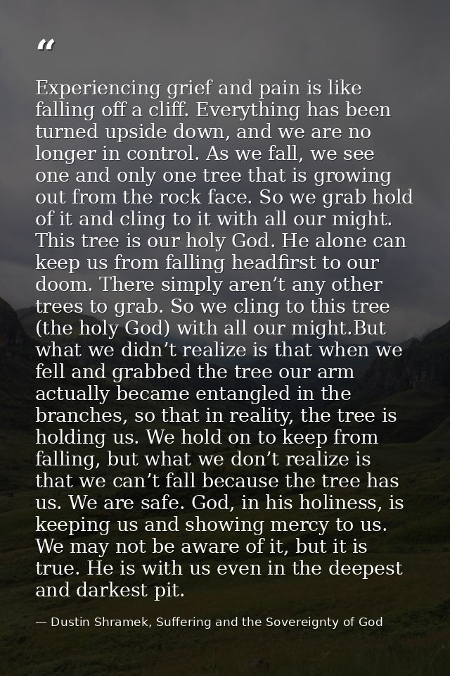 Experiencing grief and pain is like falling off a cliff. Everything has been turned upside down, and we are no longer in — Dustin Shramek, Suffering and the Sovereignty of God