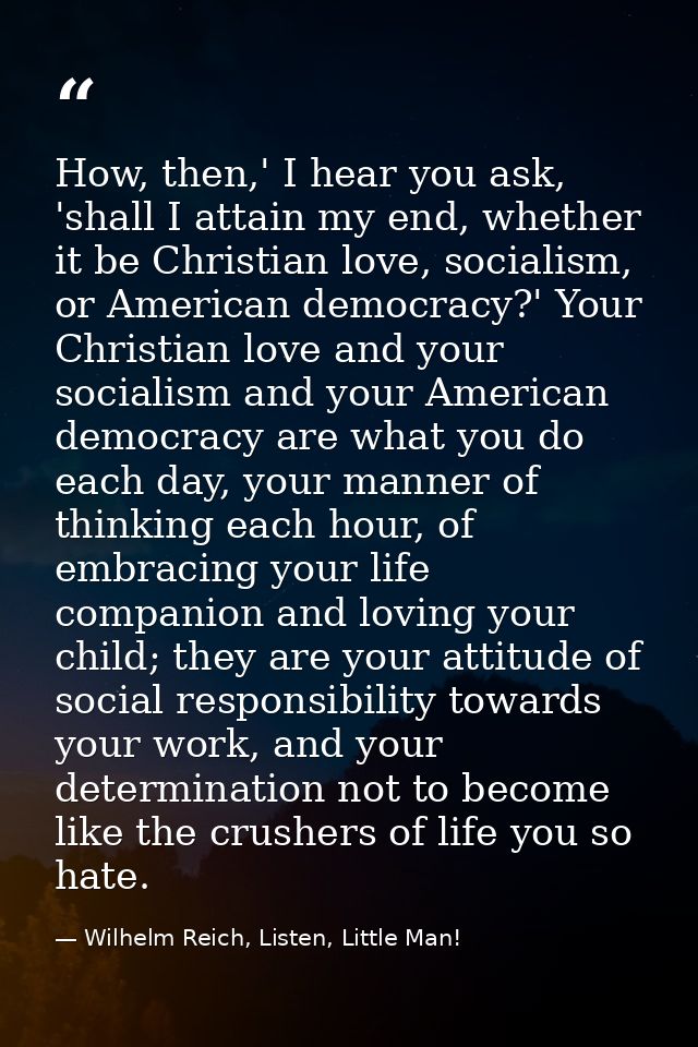 How, then,' I hear you ask, 'shall I attain my end, whether it be Christian love, socialism, or American democracy?' You — Wilhelm Reich, Listen, Little Man!