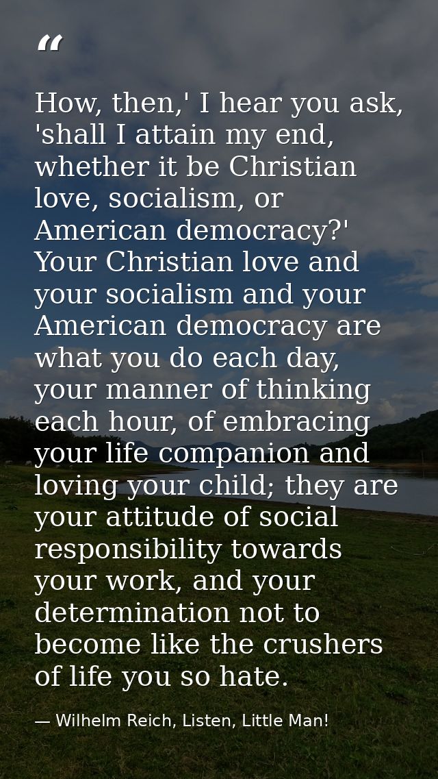How, then,' I hear you ask, 'shall I attain my end, whether it be Christian love, socialism, or American democracy?' You — Wilhelm Reich, Listen, Little Man!