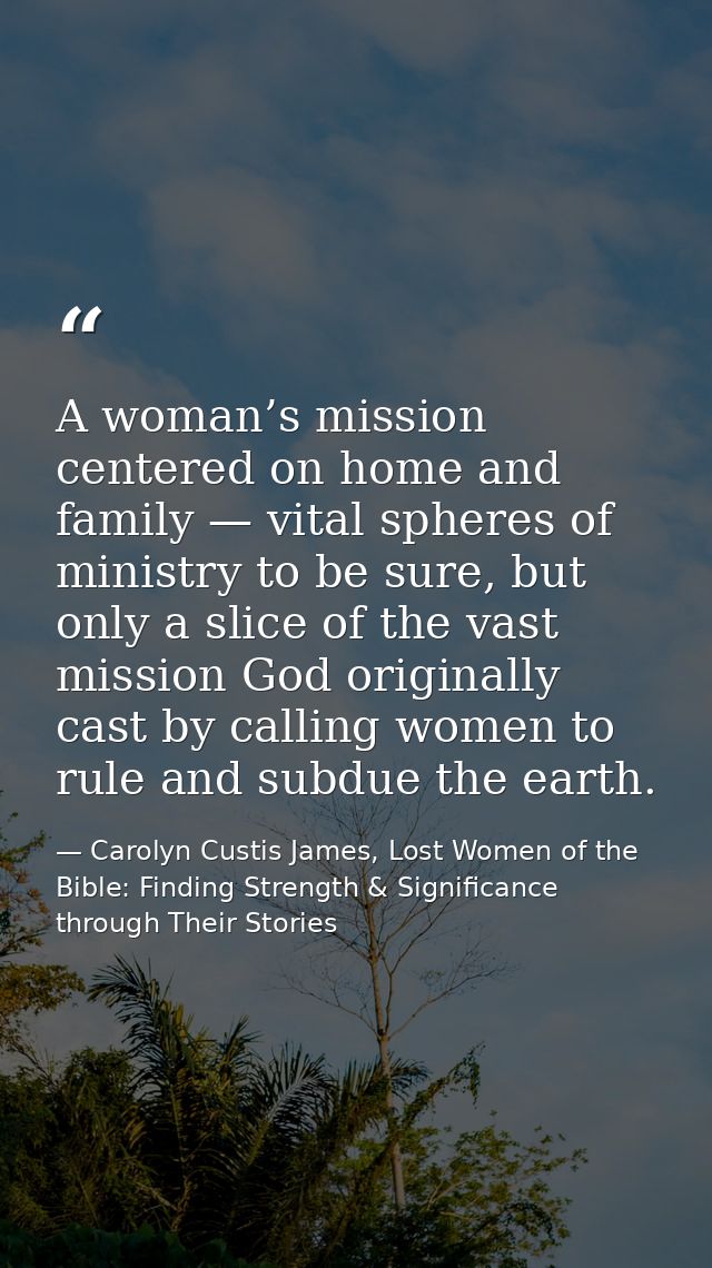 A woman’s mission centered on home and family — vital spheres of ministry to be sure, but only a slice of the vast missi — Carolyn Custis James, Lost Women of the Bible: Finding Strength & Significance through Their Stories