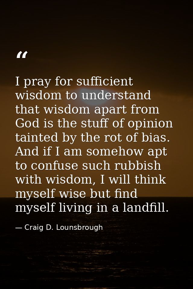 I pray for sufficient wisdom to understand that wisdom apart from God is the stuff of opinion tainted by the rot of bias — Craig D. Lounsbrough