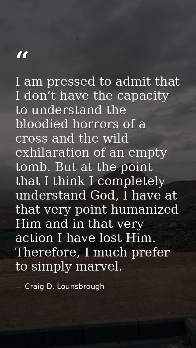 I am pressed to admit that I don’t have the capacity to understand the bloodied horrors of a cross and the wild exhilara — Craig D. Lounsbrough