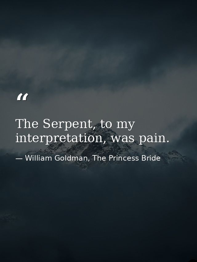 The Serpent, to my interpretation, was pain. — William Goldman, The Princess Bride