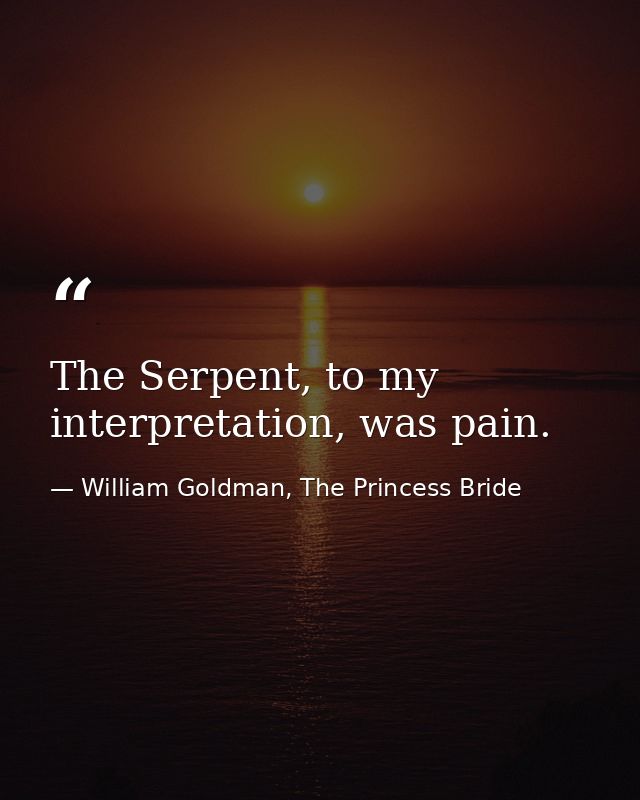 The Serpent, to my interpretation, was pain. — William Goldman, The Princess Bride