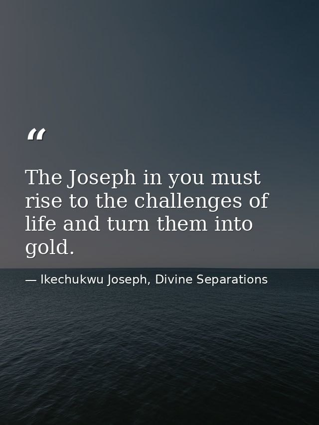 The Joseph in you must rise to the challenges of life and turn them into gold. — Ikechukwu Joseph, Divine Separations