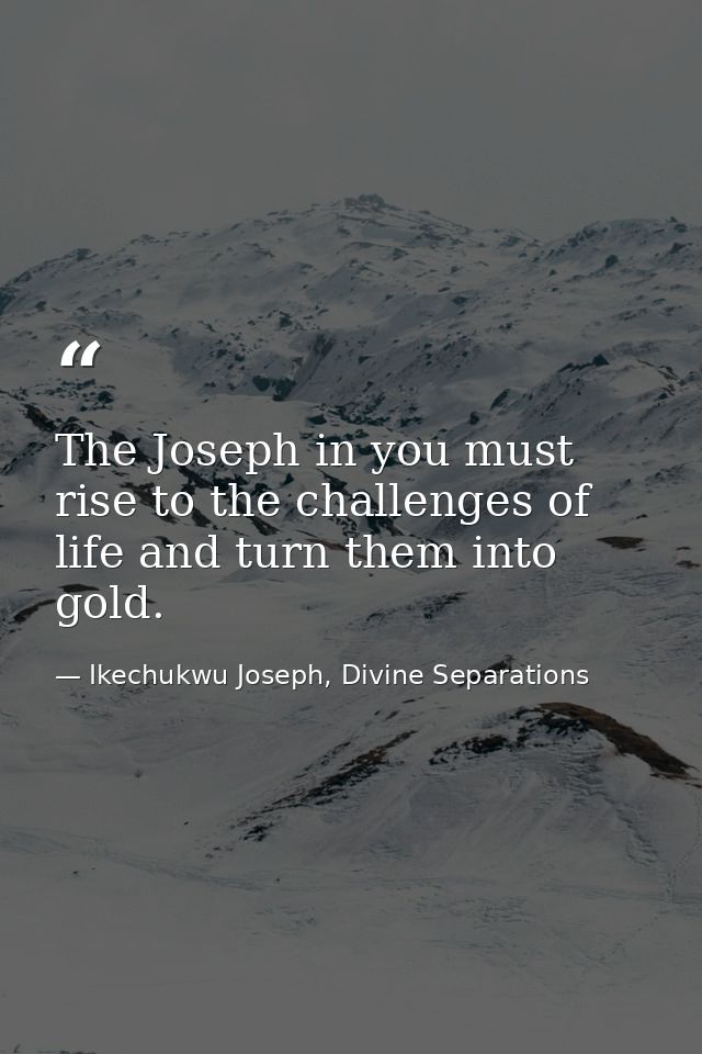 The Joseph in you must rise to the challenges of life and turn them into gold. — Ikechukwu Joseph, Divine Separations