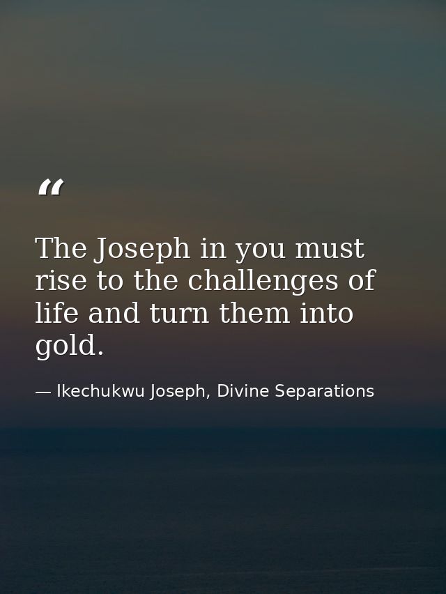 The Joseph in you must rise to the challenges of life and turn them into gold. — Ikechukwu Joseph, Divine Separations