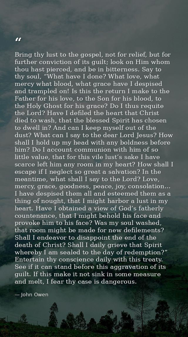 Bring thy lust to the gospel, not for relief, but for further conviction of its guilt; look on Him whom thou hast pierce — John Owen