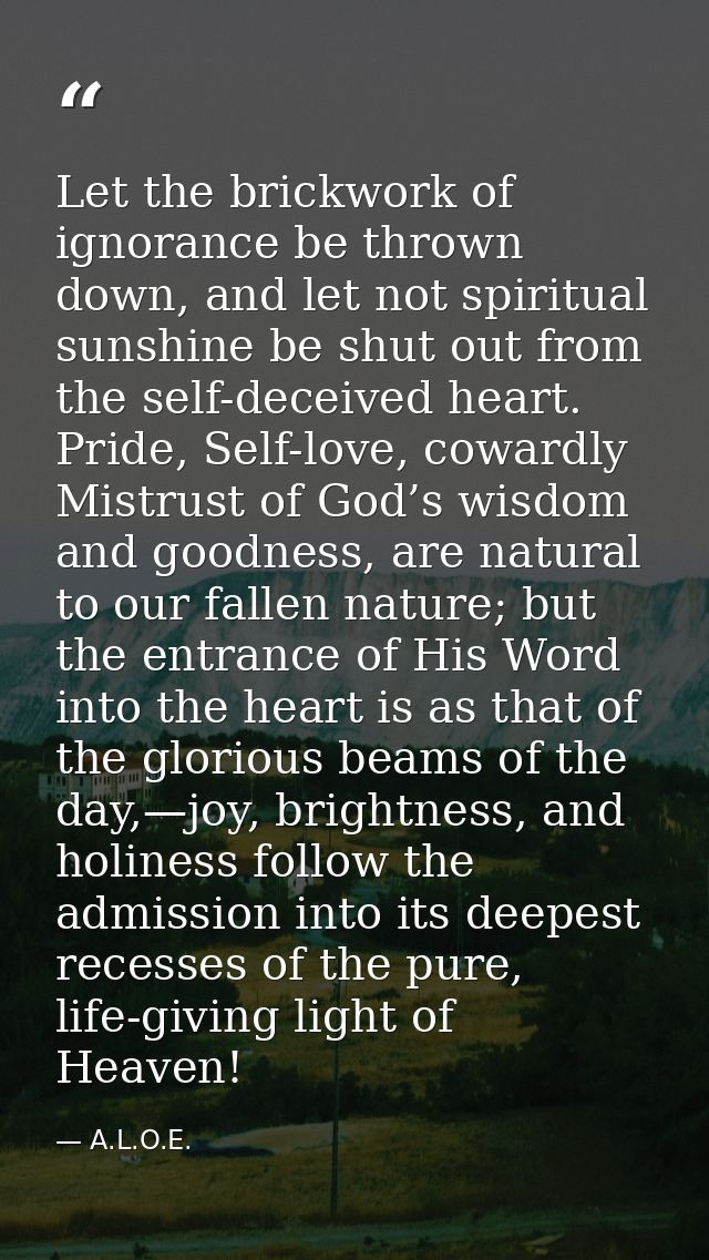 Let the brickwork of ignorance be thrown down, and let not spiritual sunshine be shut out from the self-deceived heart.  — A.L.O.E.