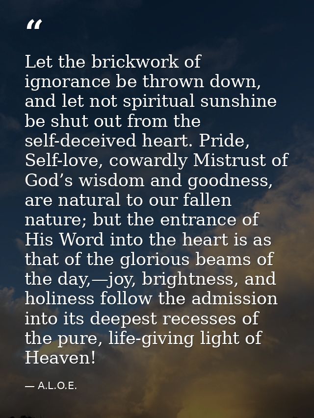 Let the brickwork of ignorance be thrown down, and let not spiritual sunshine be shut out from the self-deceived heart.  — A.L.O.E.