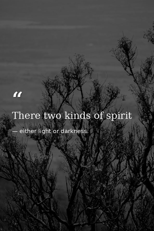 There two kinds of spirit — either light or darkness.