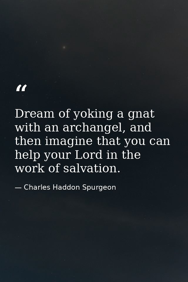Dream of yoking a gnat with an archangel, and then imagine that you can help your Lord in the work of salvation. — Charles Haddon Spurgeon
