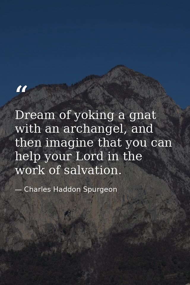 Dream of yoking a gnat with an archangel, and then imagine that you can help your Lord in the work of salvation. — Charles Haddon Spurgeon
