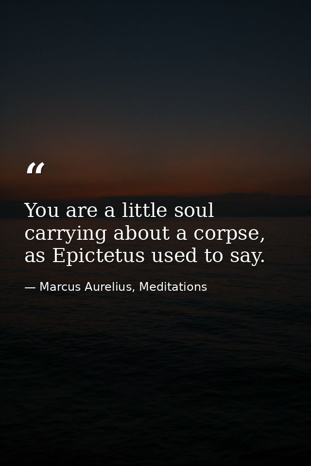 You are a little soul carrying about a corpse, as Epictetus used to say. — Marcus Aurelius, Meditations