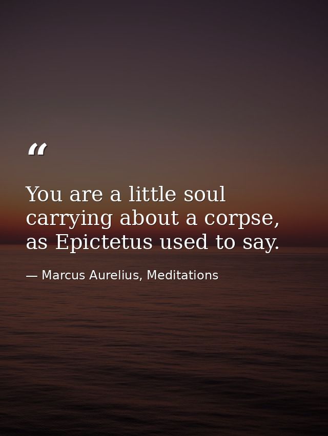 You are a little soul carrying about a corpse, as Epictetus used to say. — Marcus Aurelius, Meditations