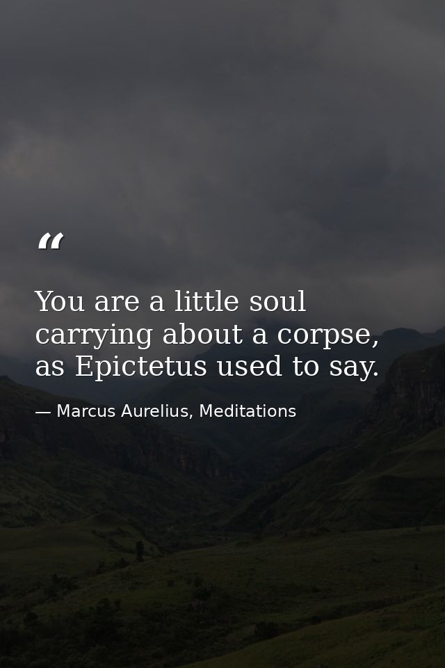 You are a little soul carrying about a corpse, as Epictetus used to say. — Marcus Aurelius, Meditations