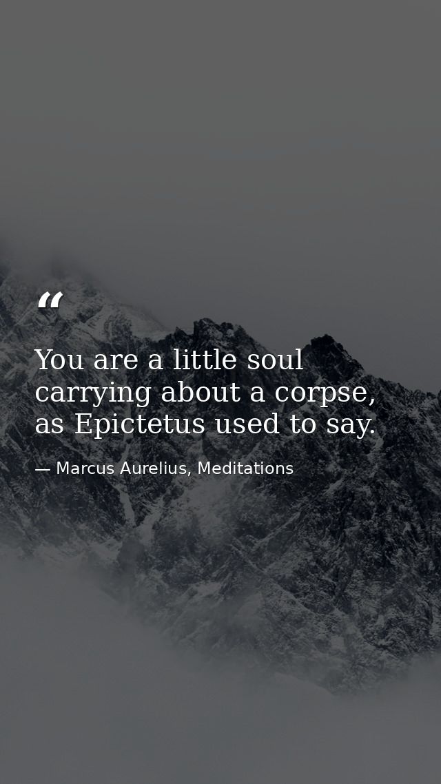 You are a little soul carrying about a corpse, as Epictetus used to say. — Marcus Aurelius, Meditations