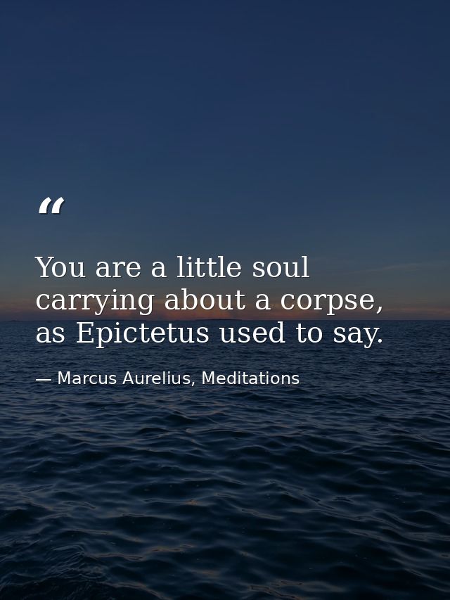 You are a little soul carrying about a corpse, as Epictetus used to say. — Marcus Aurelius, Meditations