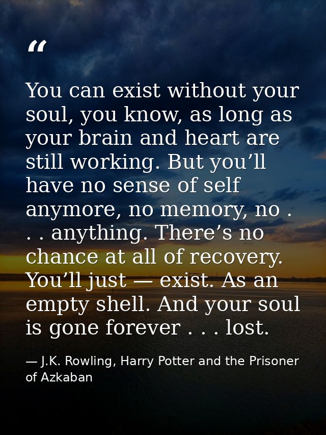 You can exist without your soul, you know, as long as your brain and heart are still working. But you’ll have no sense o — J.K. Rowling, Harry Potter and the Prisoner of Azkaban