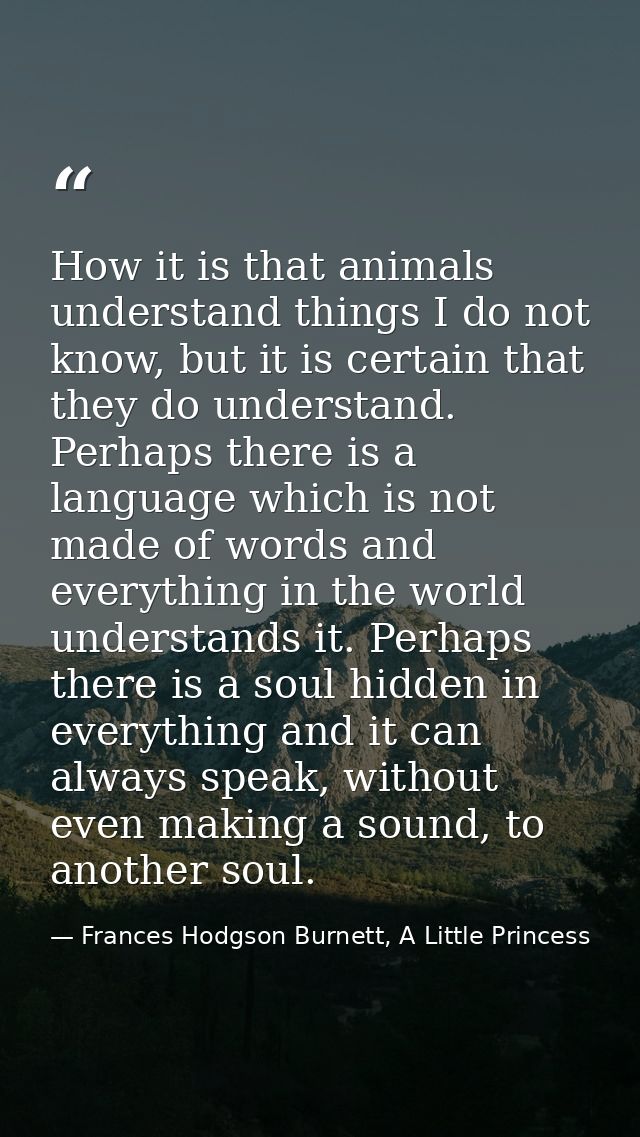 How it is that animals understand things I do not know, but it is certain that they do understand. Perhaps there is a la — Frances Hodgson Burnett, A Little Princess