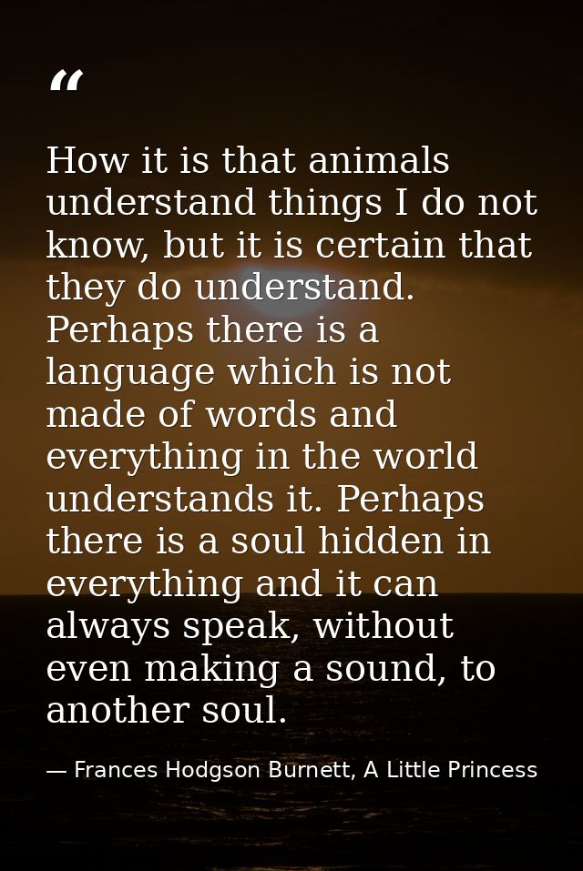 How it is that animals understand things I do not know, but it is certain that they do understand. Perhaps there is a la — Frances Hodgson Burnett, A Little Princess