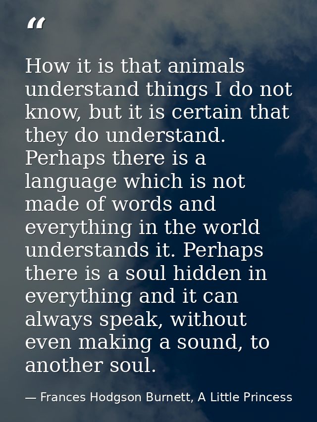 How it is that animals understand things I do not know, but it is certain that they do understand. Perhaps there is a la — Frances Hodgson Burnett, A Little Princess