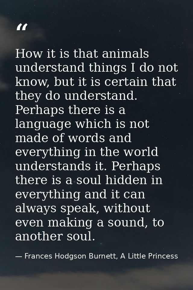 How it is that animals understand things I do not know, but it is certain that they do understand. Perhaps there is a la — Frances Hodgson Burnett, A Little Princess