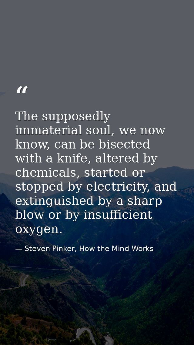 The supposedly immaterial soul, we now know, can be bisected with a knife, altered by chemicals, started or stopped by e — Steven Pinker, How the Mind Works