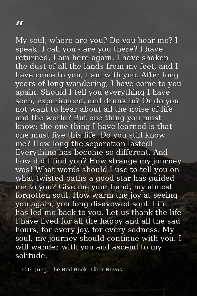 My soul, where are you? Do you hear me? I speak, I call you - are you there? I have returned, I am here again. I have sh — C.G. Jung, The Red Book: Liber Novus