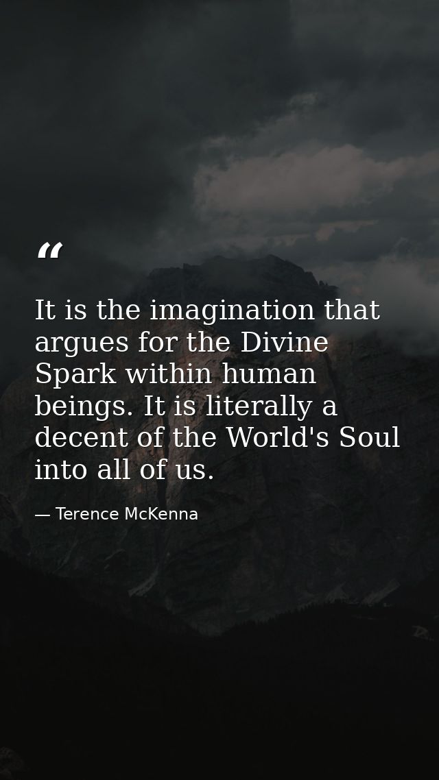 It is the imagination that argues for the Divine Spark within human beings. It is literally a decent of the World's Soul — Terence McKenna