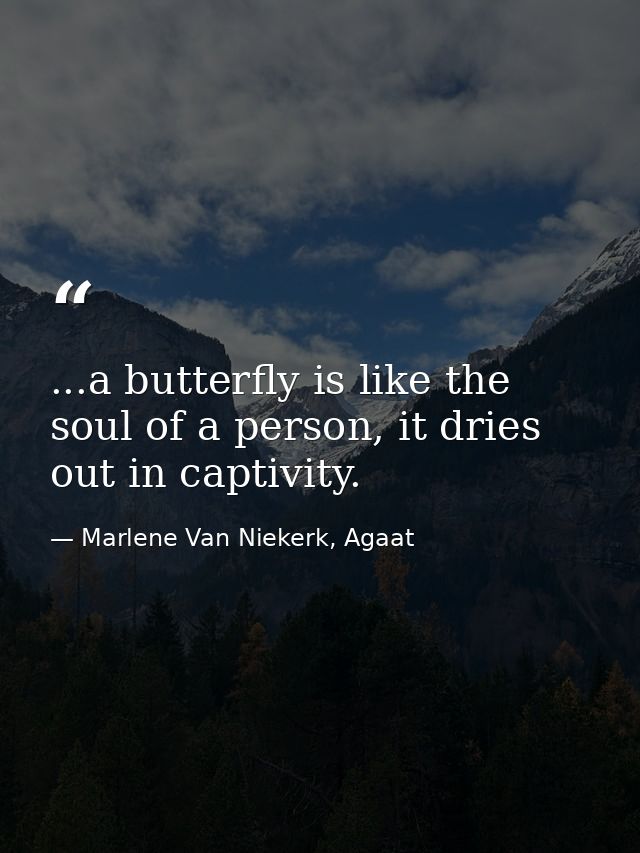 ...a butterfly is like the soul of a person, it dries out in captivity. — Marlene Van Niekerk, Agaat