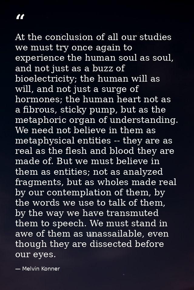 At the conclusion of all our studies we must try once again to experience the human soul as soul, and not just as a buzz — Melvin Konner